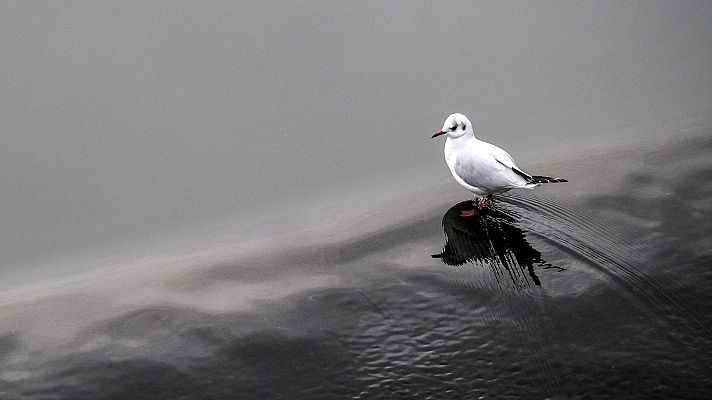 Lluvias en el noroeste y sur peninsular por la influencia de frente atlántico