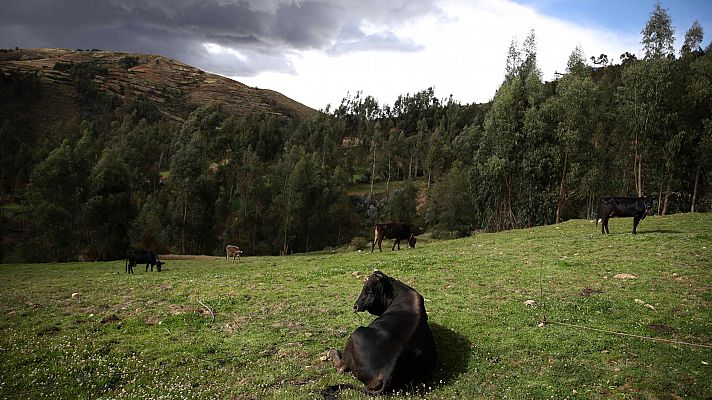 El tiempo - Un frente frío deja lluvias en el norte y ocho provincias en riesgo por fuerte oleaje