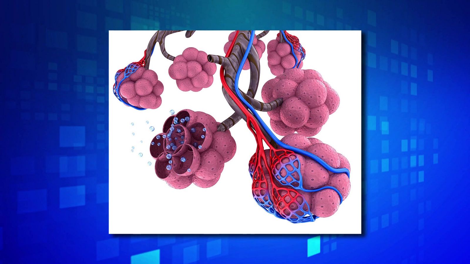 Saber y ganar - 04/01/24 - ver ahora