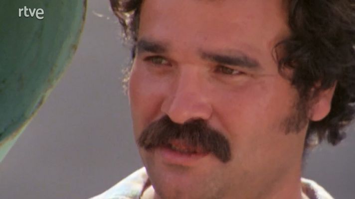 Raíces - Isla de La Palma