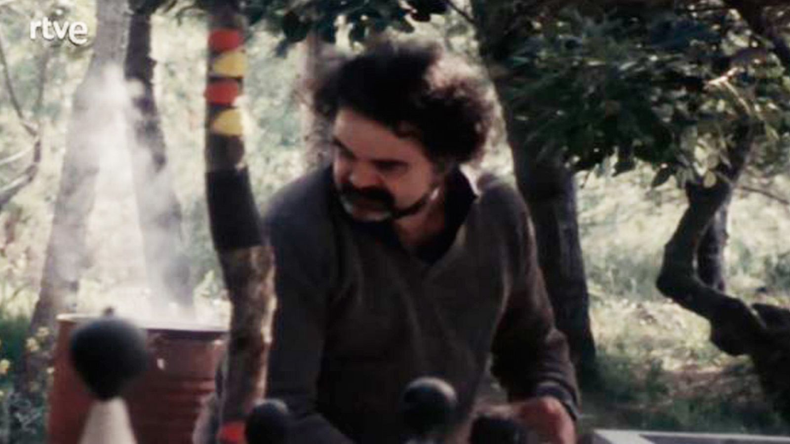 Arxiu TVE Catalunya - Vostè pregunta - Reportatge pel programa sobre Josep Guinovart - Veure ara