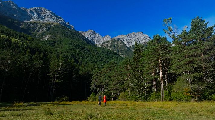 El señor de los bosques - Valle de Pineta: Huesca