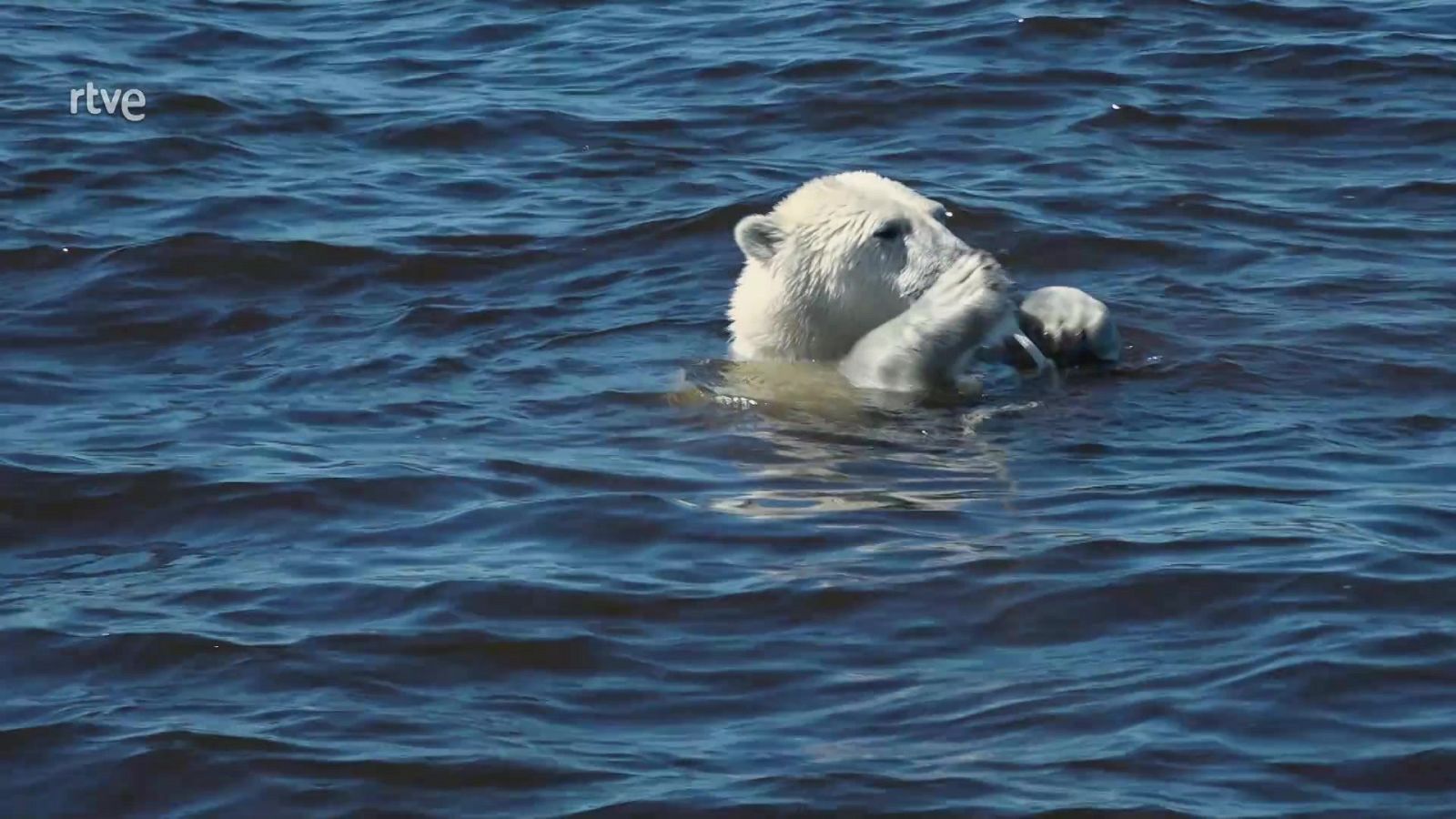 Siete mundos, un planeta: Cómo se hizo - Episodio 1: Siete mundos, un planeta: Cómo se hizo - ver ahora