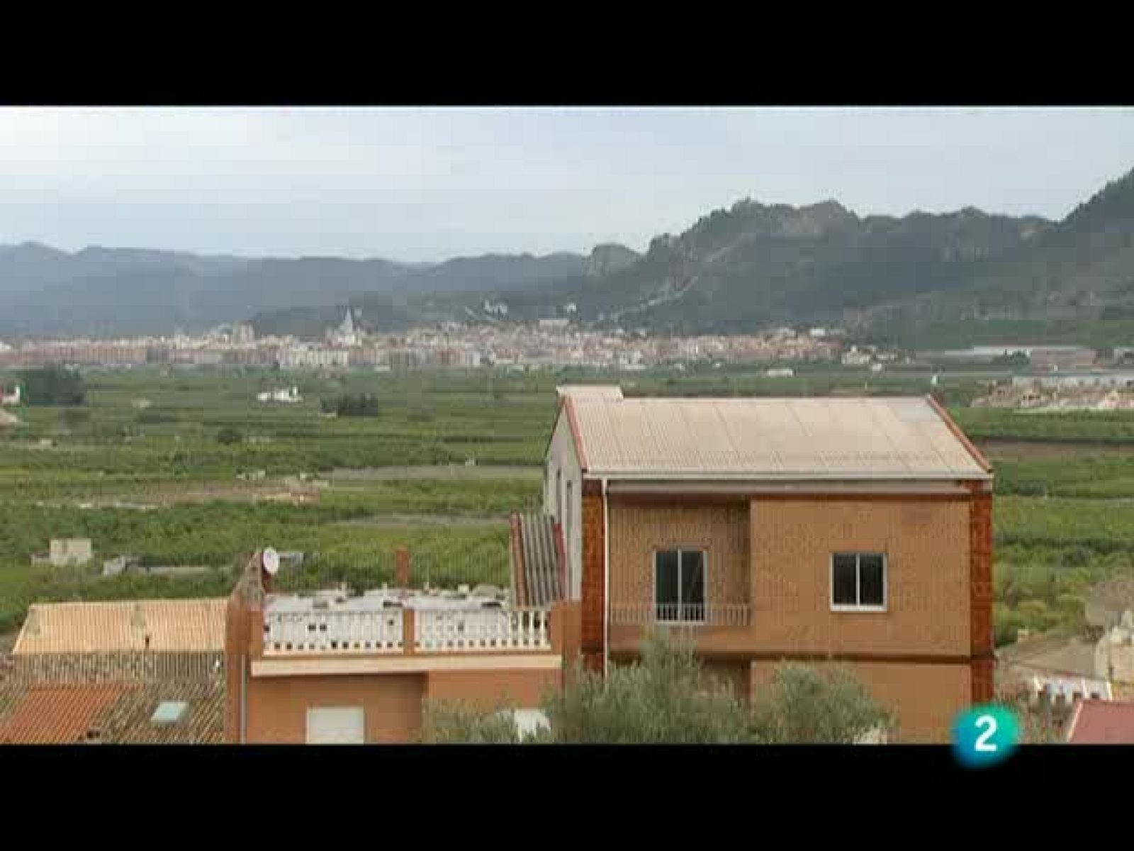 El escarabajo verde - Esto huele mal - El escarabajo verde | Ver