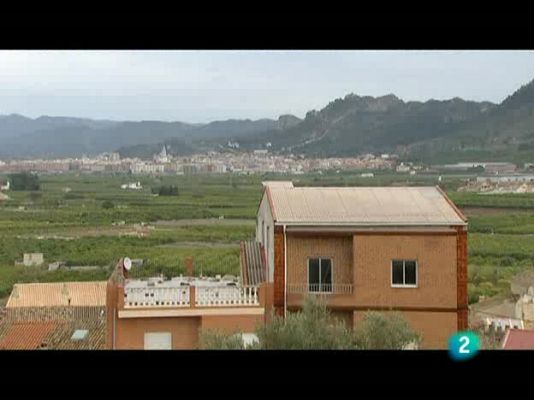 El escarabajo verde - Esto huele mal