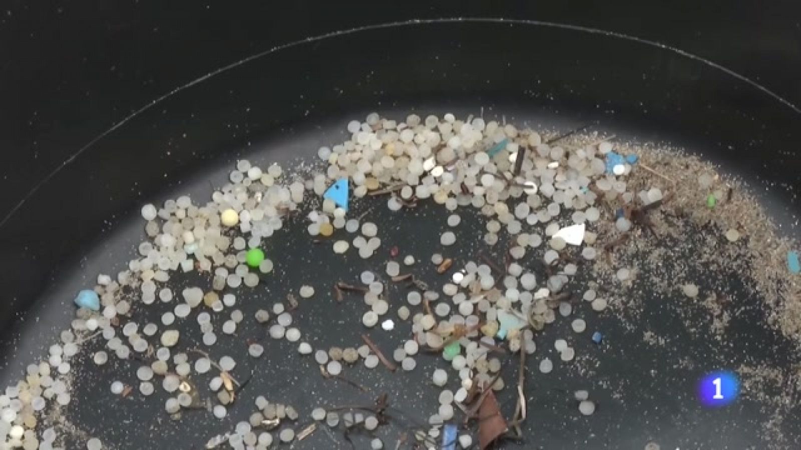 Panorama Regional 2 - 08/01/2024 - Ver ahora