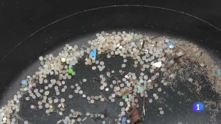 Panorama Regional - Panorama Regional 2 - 08/01/24