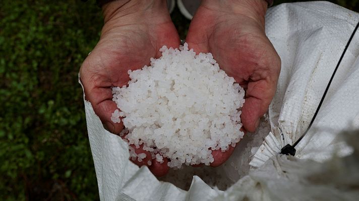 La Xunta descarta que los pellets sean contaminantes