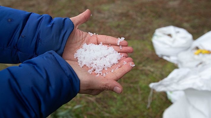 Telediario 1 - El vertido de pélets agita la precampaña en Galicia