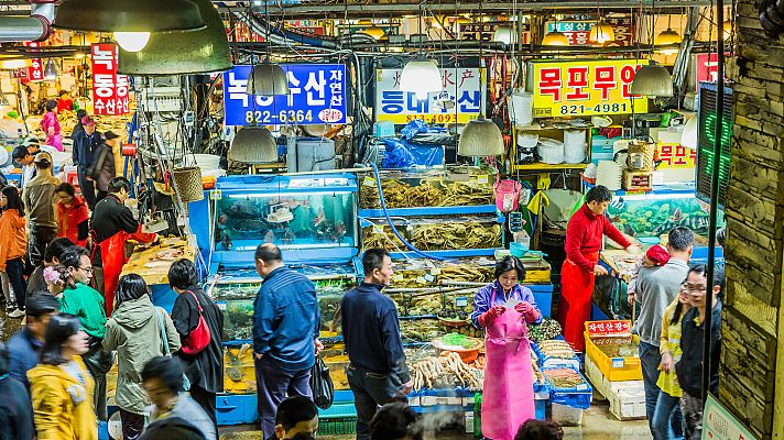 Telediario 1 - Corea del Sur prohíbe el consumo de carne de perro