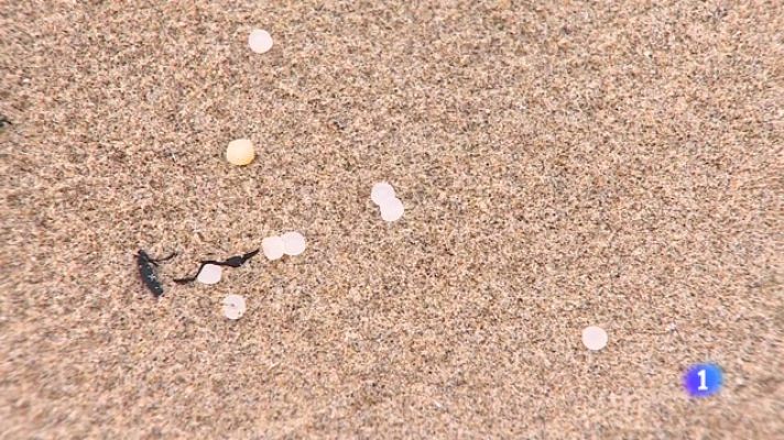 Panorama Regional - Panorama Regional 2 - 09/01/24