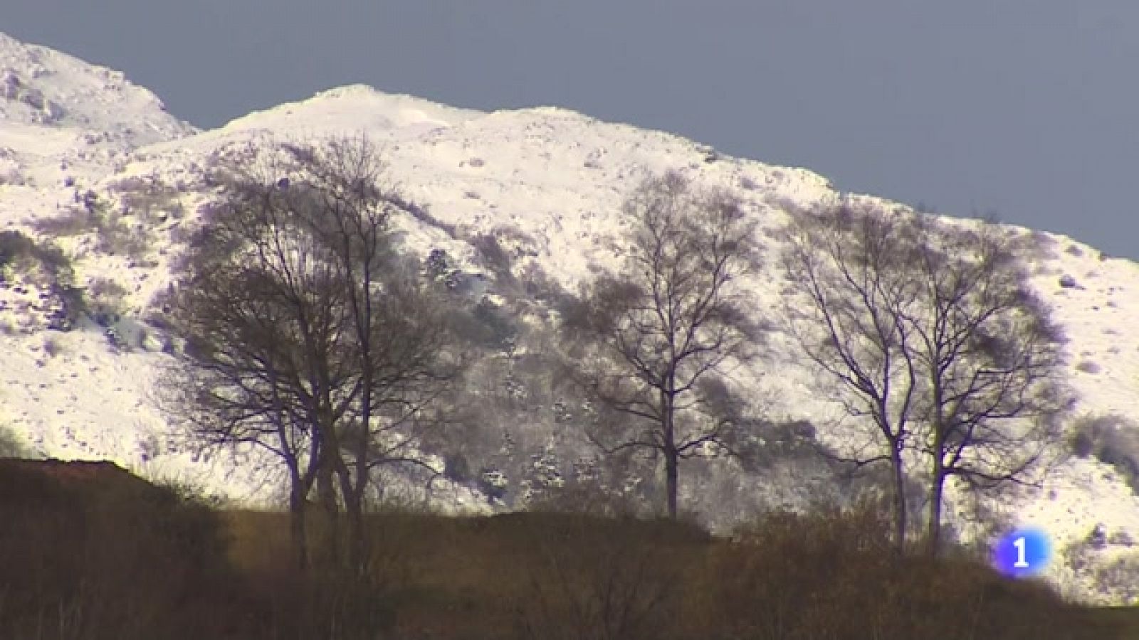 El tiempo en Asturias - 09/01/24 - RTVE.es