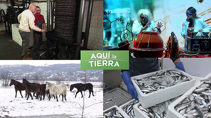 Aquí la Tierra - Aquí la Tierra - 09/01/24