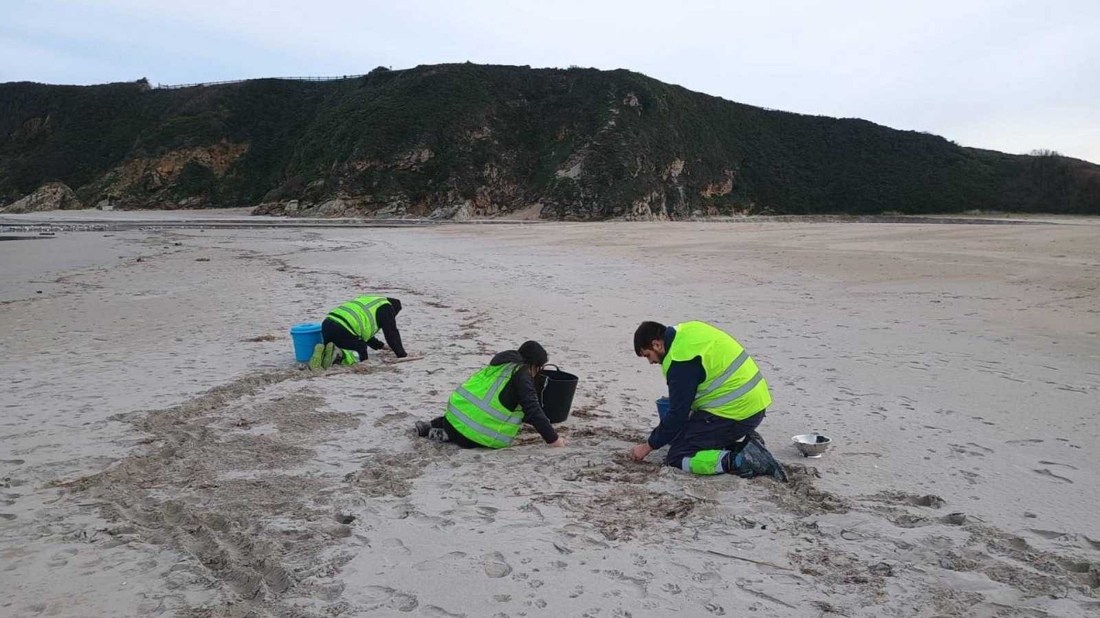 Galicia, Asturias y Cantabria activan el plan 2 de contaminación por el vertido de pélets