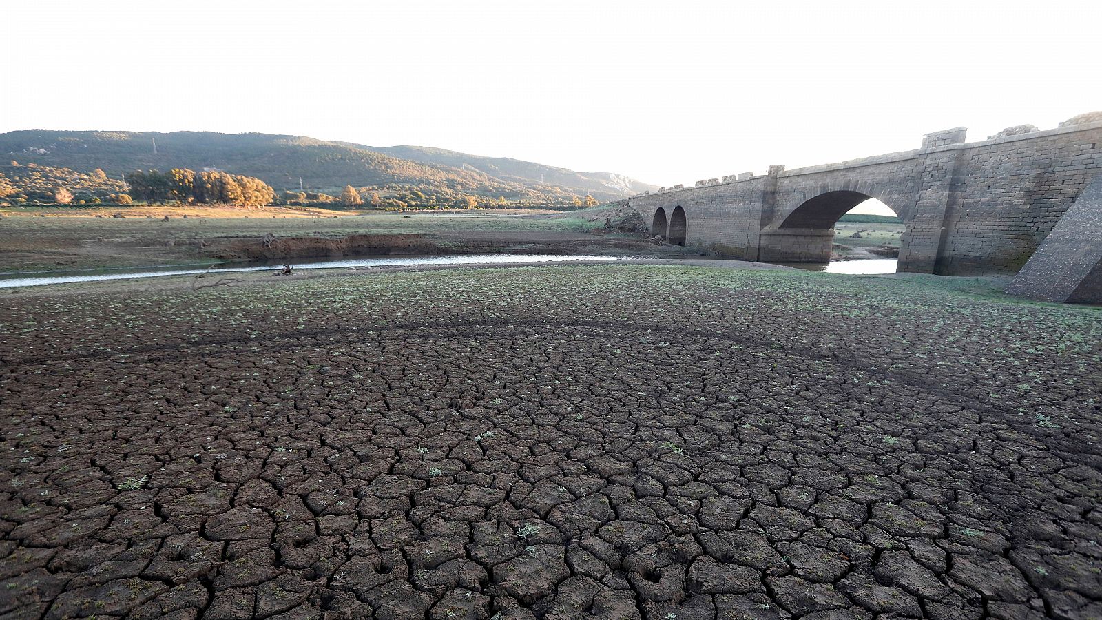 El campo de Gibraltar sufre restricciones de agua ante la sequía