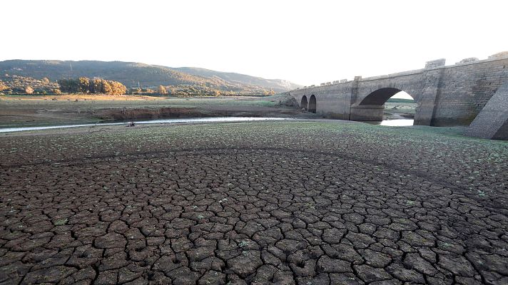Telediario 1 - El campo de Gibraltar sufre restricciones de agua ante la sequía