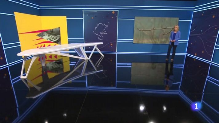 Telenavarra - Telenavarra en 2' -  11/1/2024