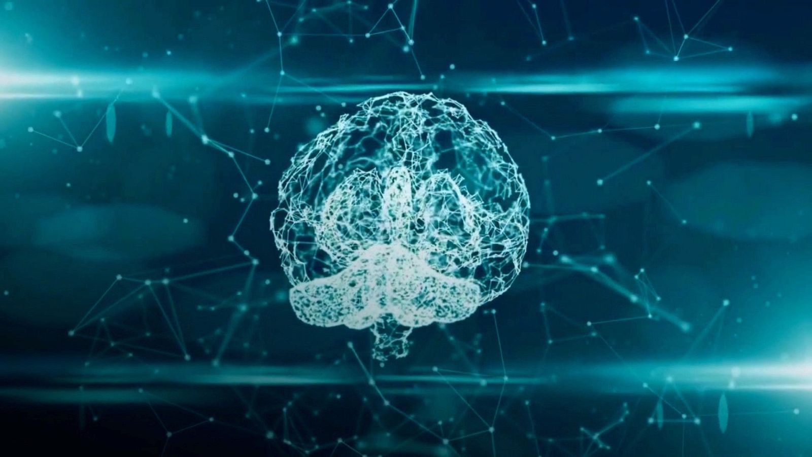 Zoom Net - Mundo Expandido, FreeClip y Tendencias para 2024  - ver ahora