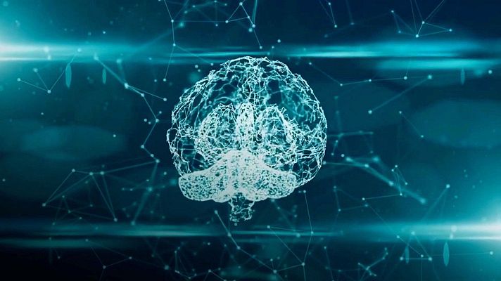 Zoom net - Mundo Expandido, FreeClip y Tendencias para 2024