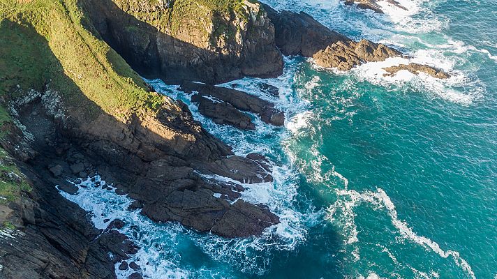 Sobrevolando el mar en busca de pélets