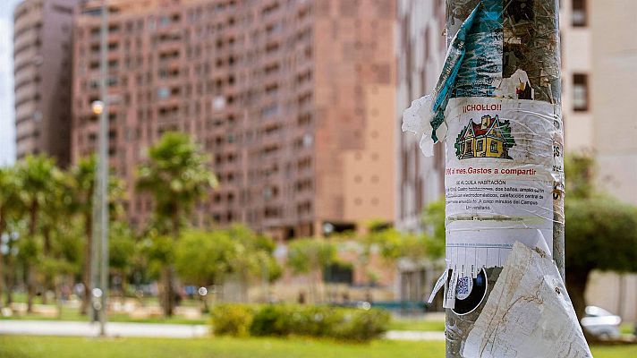 Telediario 1 - Tener hijos o mascotas, un inconveniente a la hora de alquilar una vivienda