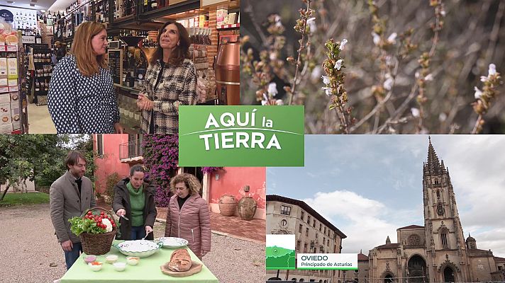 Aquí la Tierra - Aquí la Tierra - 12/01/24