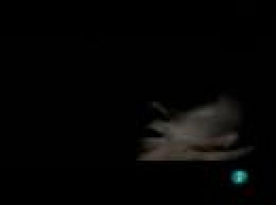 Días de cine - DVD: 'Anticristo'