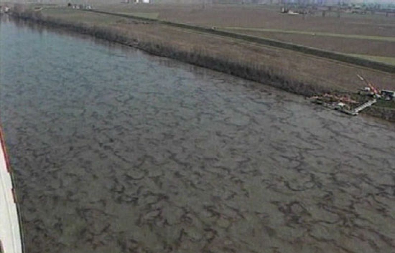 Una enorme macha de petróleo tiñe de negro el río Po