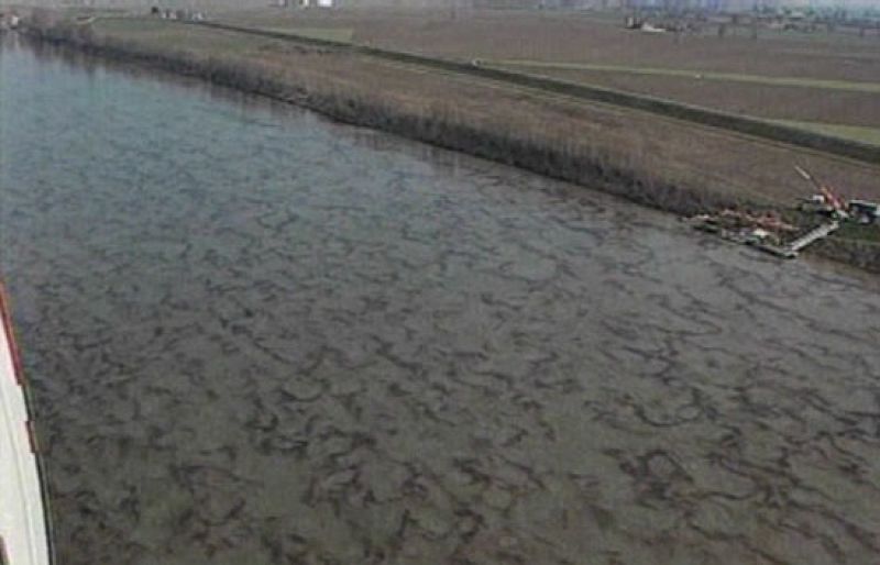 En Italia expertos en contaminación luchan contra reloj para evitar que una enorme mancha de petróleo vertida al río Po, llegue al Adriático. La policía sospecha que se trata de un sabotaje por razones urbanísticas (26/02/2010).