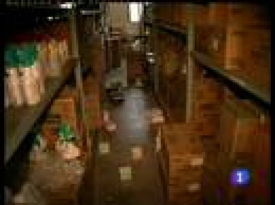  - Un terremoto de 7 grados en Japón