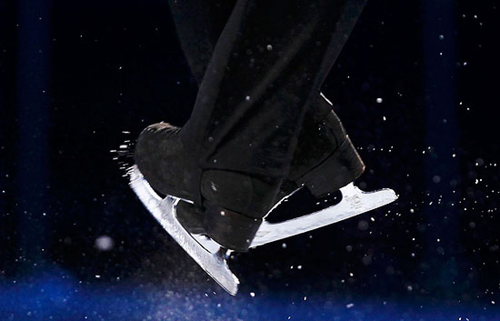 El campeón olímpico de Patinaje Artístico, el estadounidense Lysacek, quiso presentar en la Gala de Exhibición a un posible campeón olímpico nacido en Vancouver, el niño se llama Nam Nguyeb y promete medallas para el futuro.