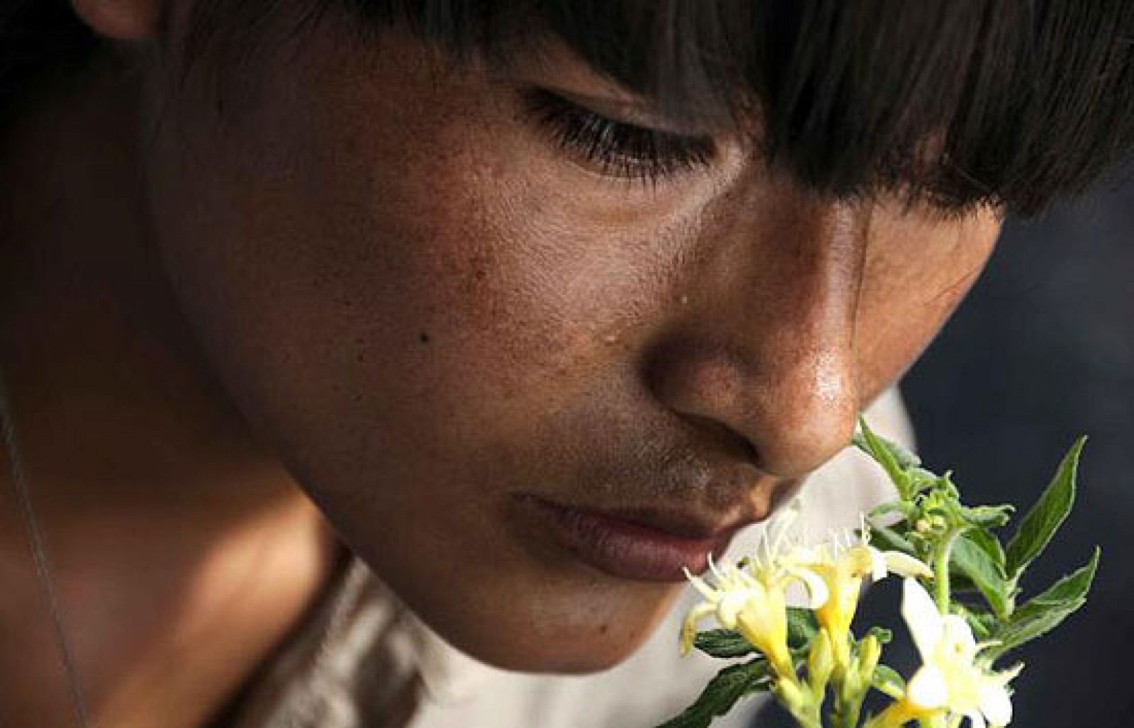 'La teta asustada' en Versión Española | Ver