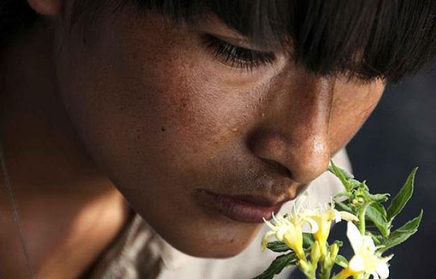 Versión española - 'La teta asustada'