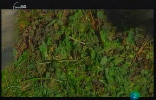 tres14 - Últimas noticias