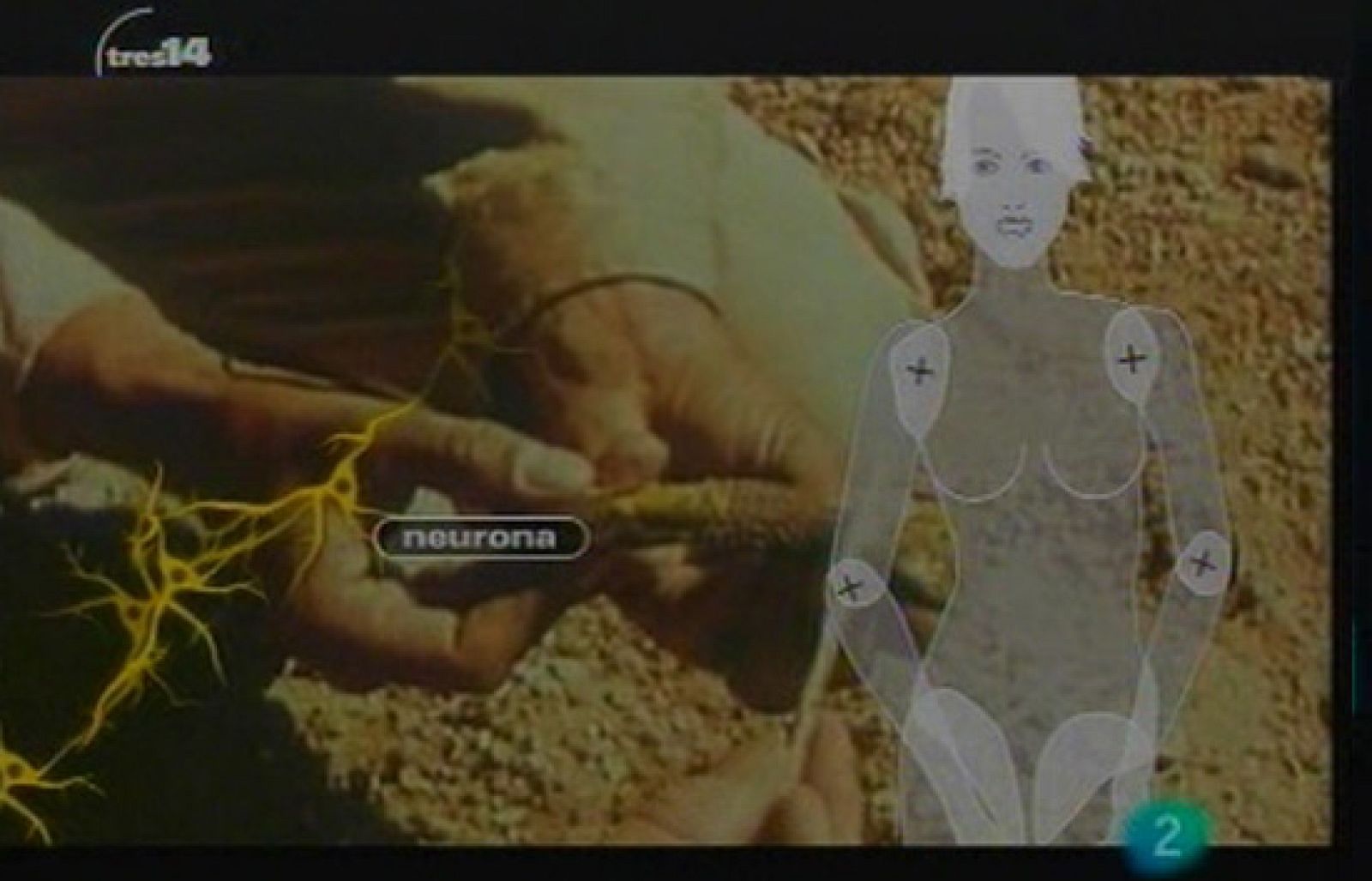 Curiosidades (simulación)