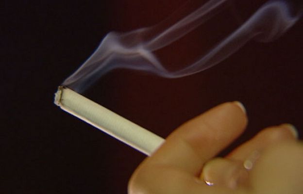  - Defunciones 2008 INE