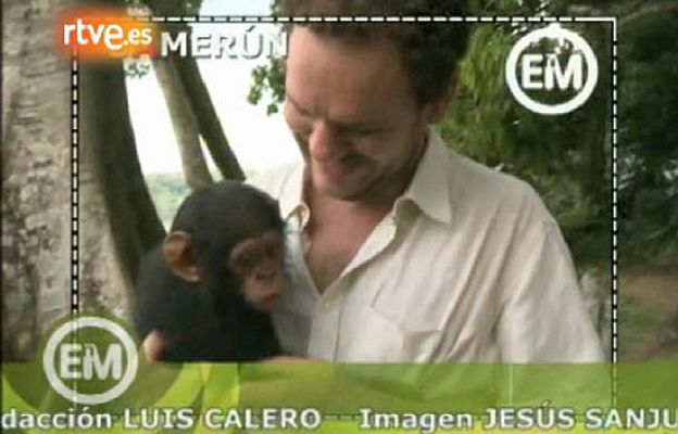 Españoles en el mundo - Camerún - Tomas falsas