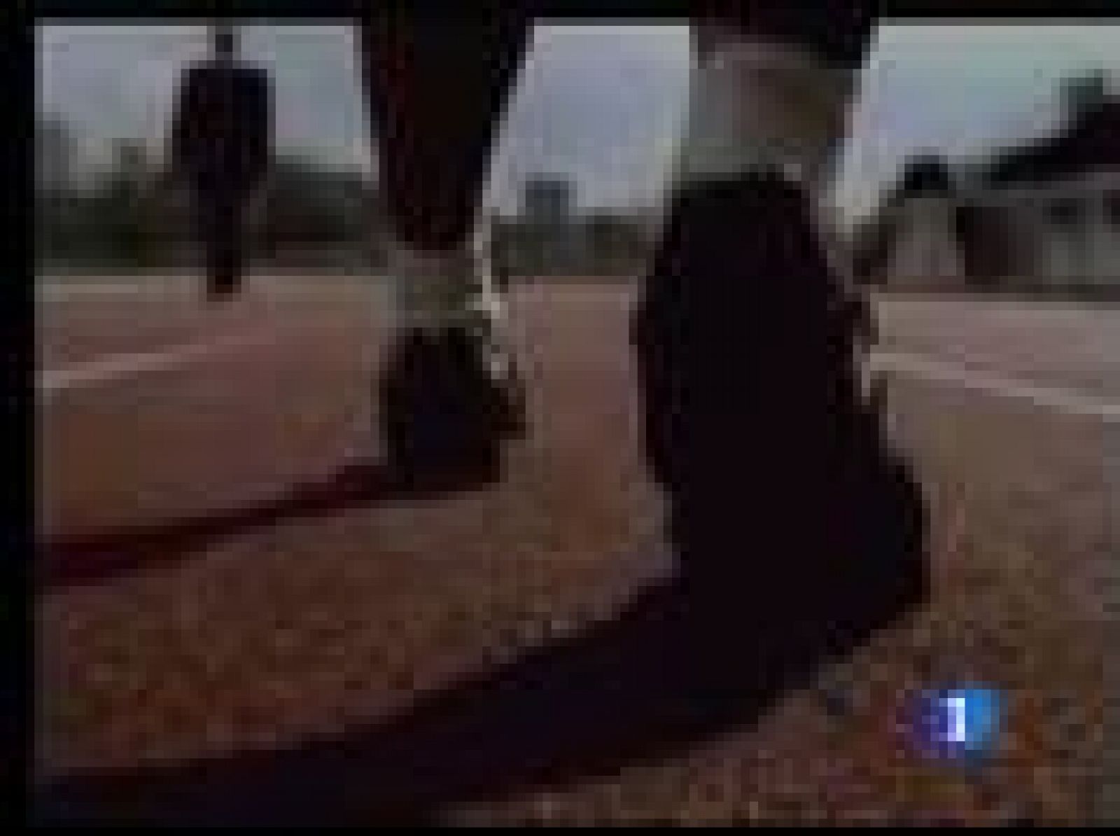 La publicidad como medio para hacernos reflexionar sobre la realidad | Ver