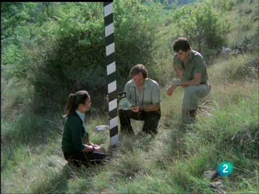  - El lobo, veloz y hábil.