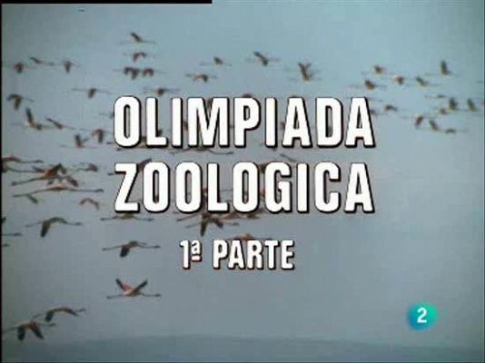 Olimpiadas Zoológicas I