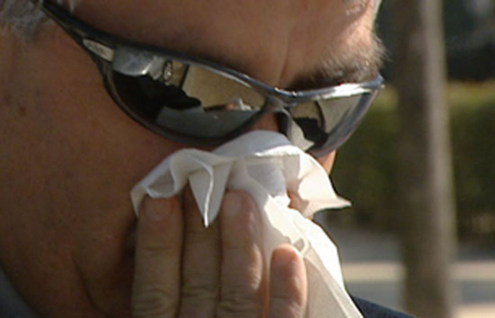 Esta primavera los alérgicos sufrirán más | Ver