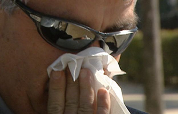  - Primavera dificil para alérgicos