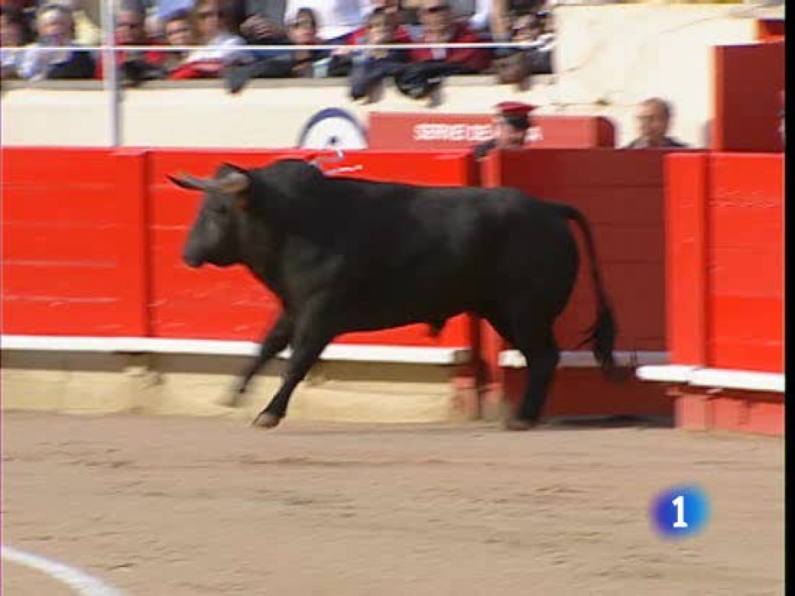 Continúa el debate en torno a los toros en Cataluña | Ver