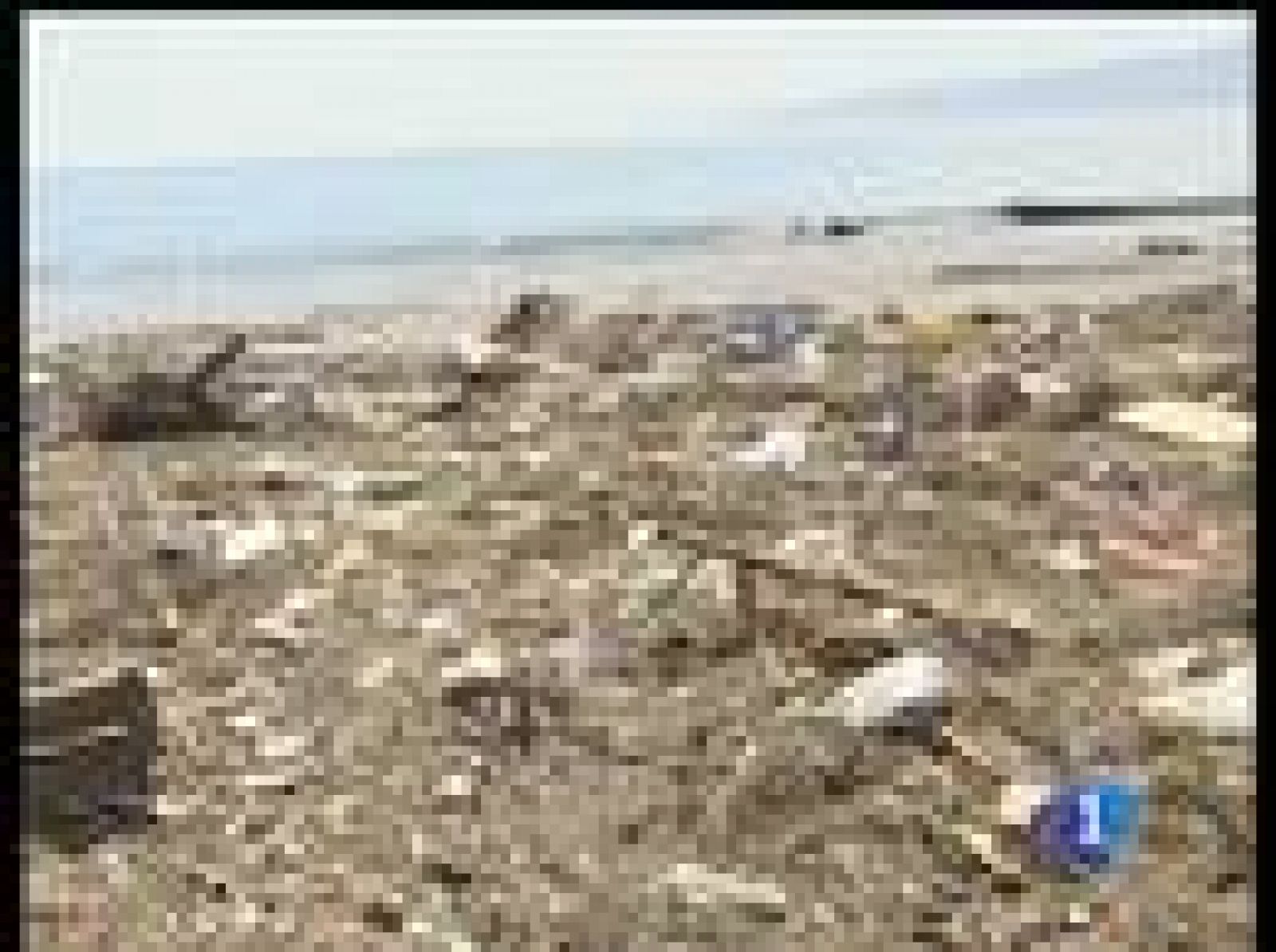 La presidenta de Chile visita las zonas devastadas por el terremoto | Ver