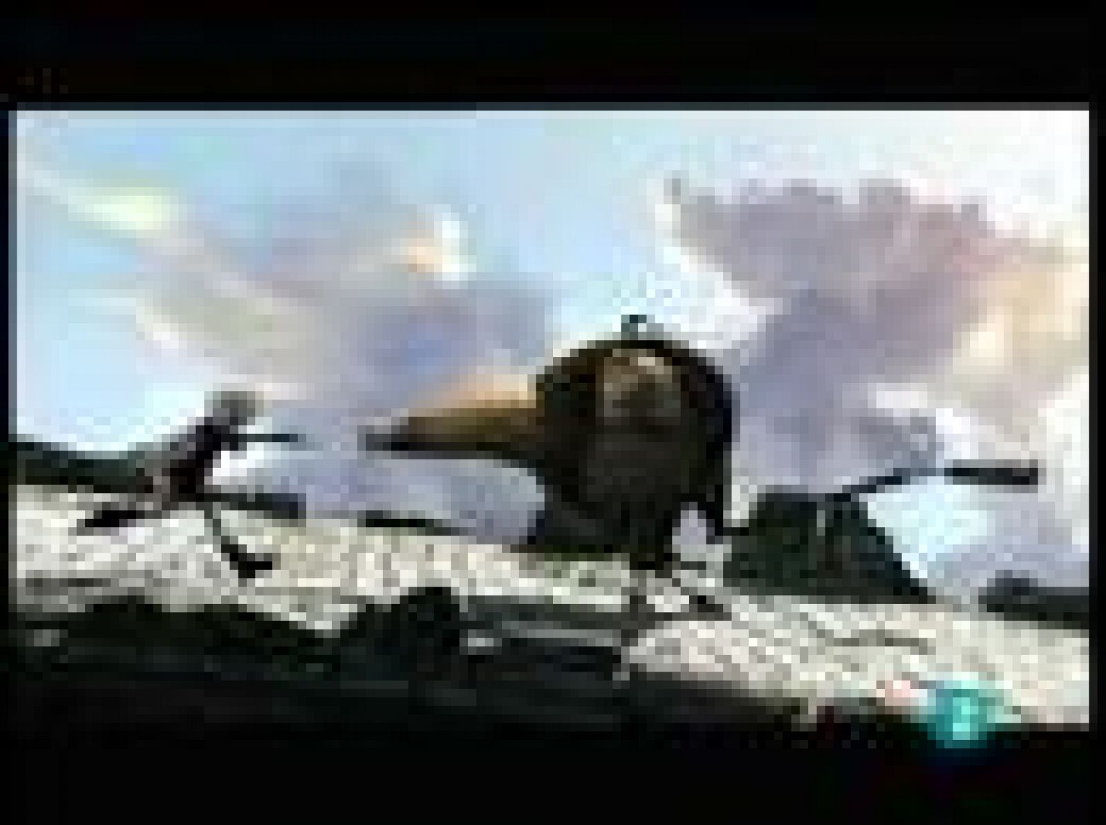 Días de cine: Cazadores de dragones