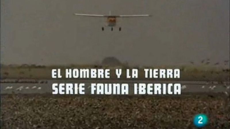 Sintonía de la serie 'El hombre y la tierra' - El hombre y la Tierra | Ver