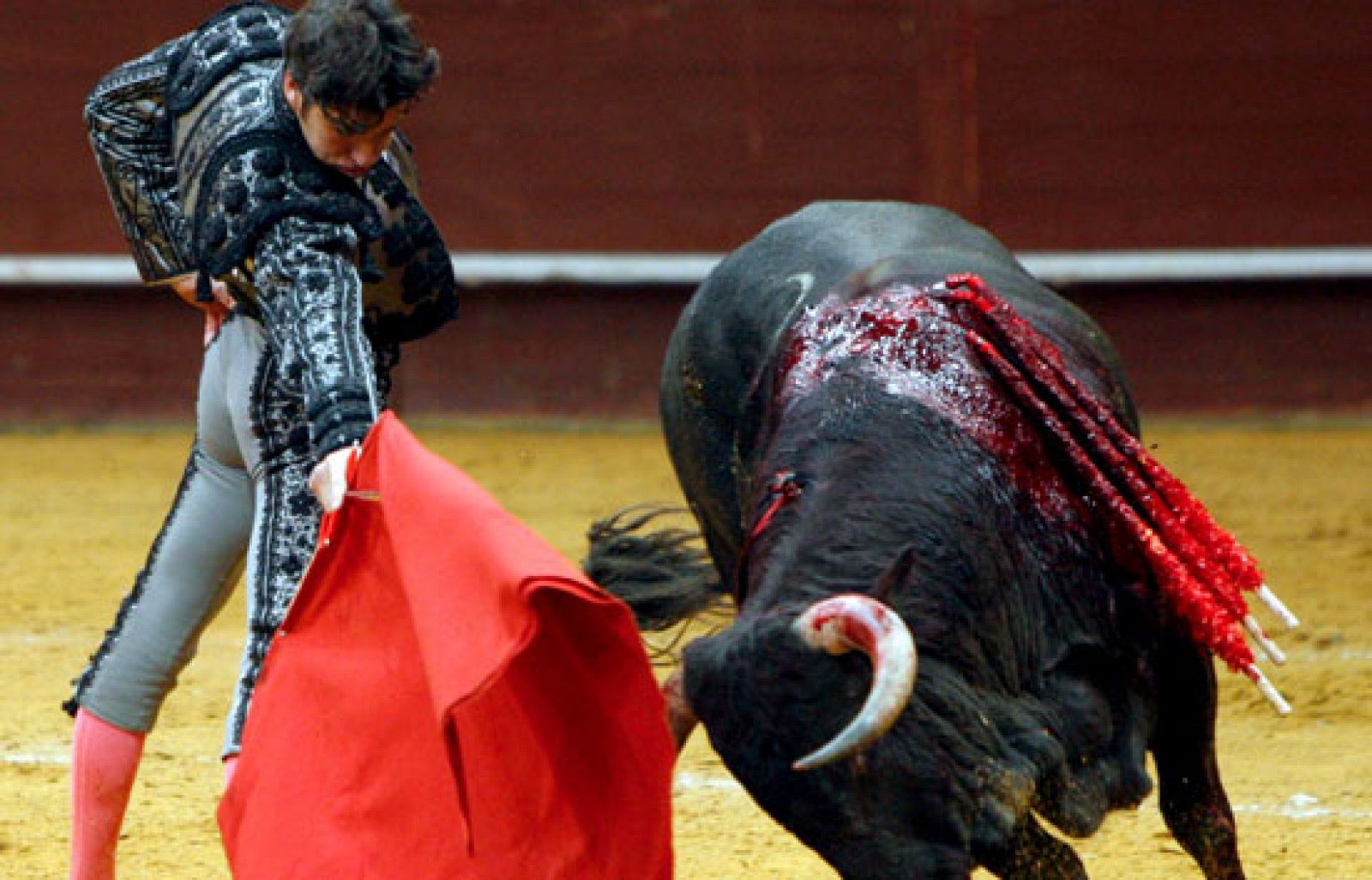 Sin programa: Sigue la polémica de los toros | RTVE Play