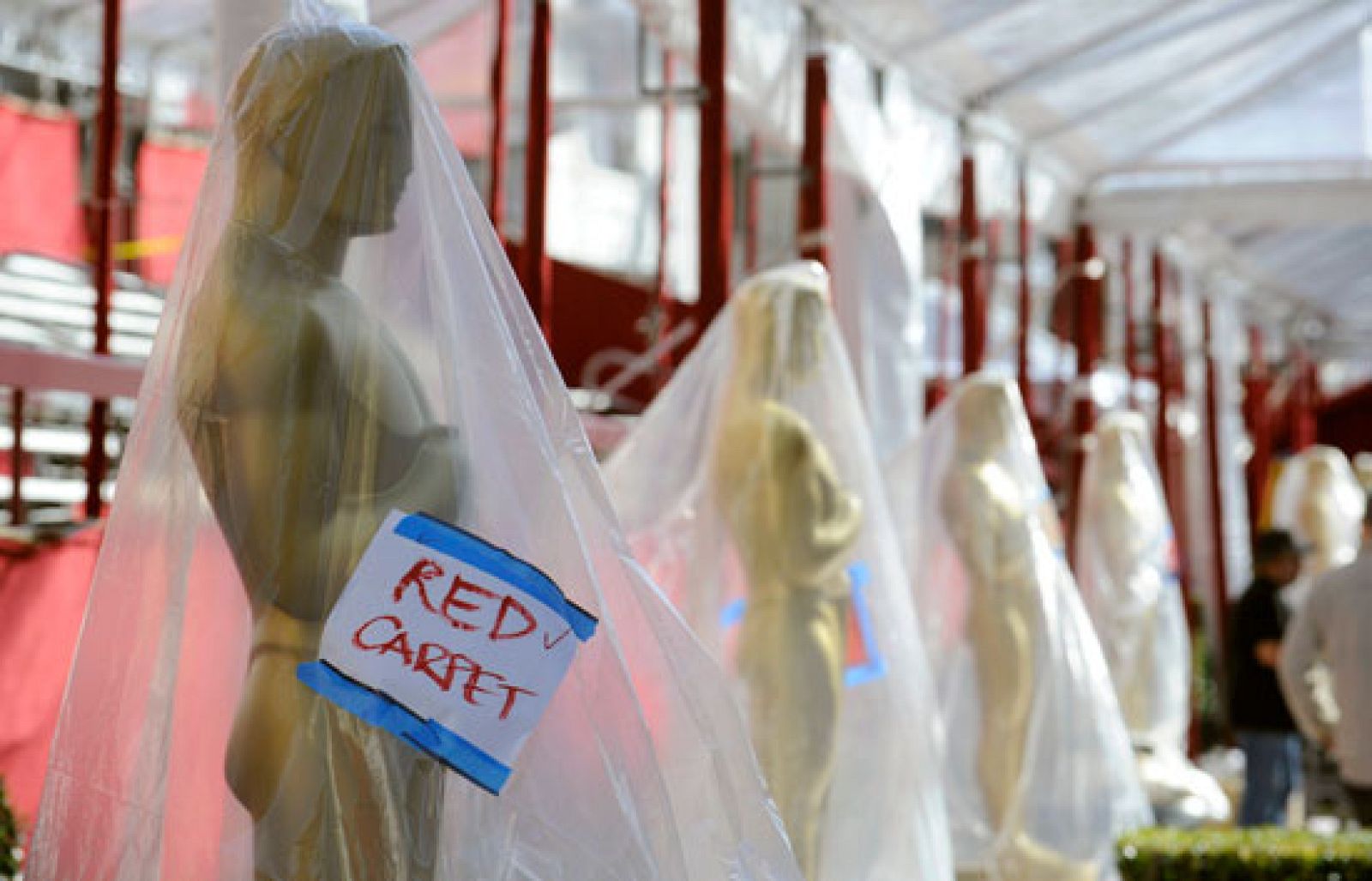 El domingo conoceremos a los galardonados.