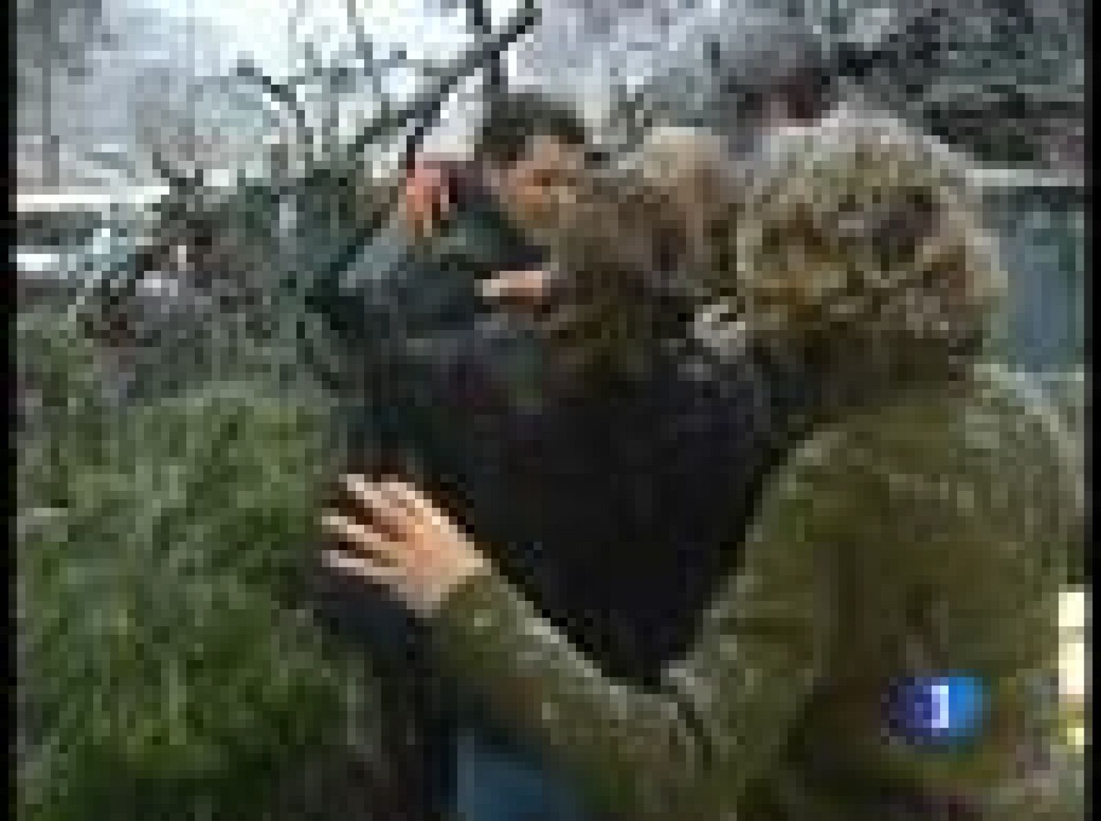 El Tiempo - 08/03/10 - El tiempo | Ver