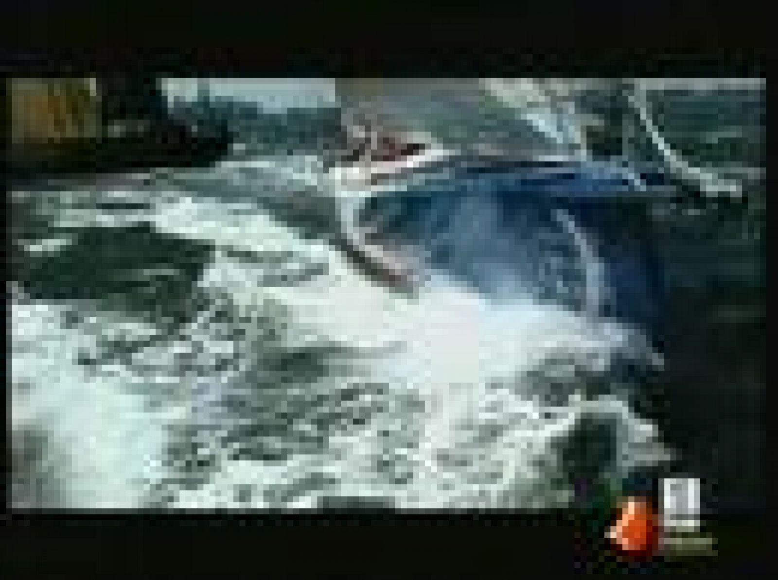 Sin programa: Volvo Ocean Race | RTVE Play